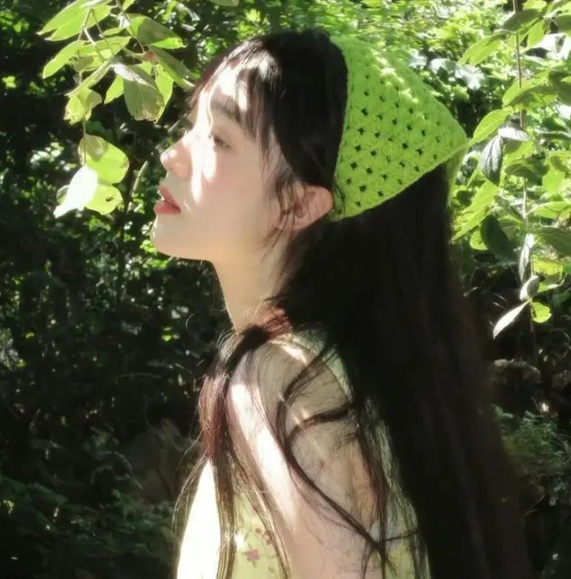 鲨人树儿